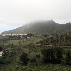 Erjos