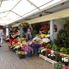 Mercado de La Laguna