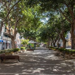 Rambla de Santa Cruz